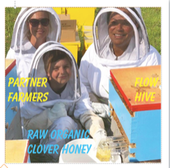 raw organic clover honey